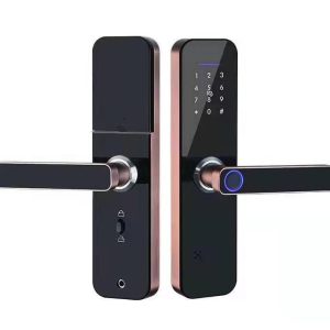 Khóa cửa vân tay điện tử